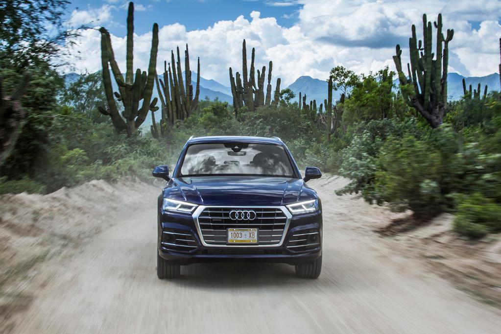 Audi Q5 (2017)